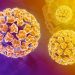HPV infekcije – pošast savremenog doba